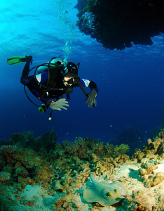 Diver and ray in egypt by Andy Kutsch 